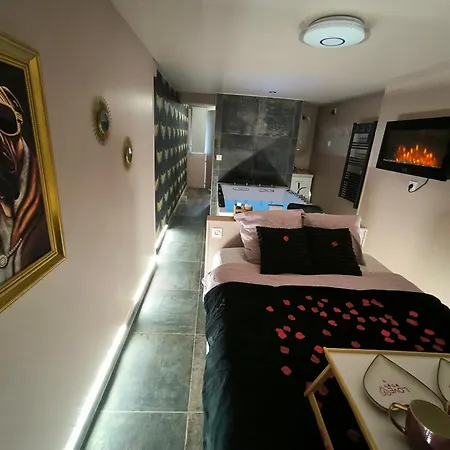 Apartment Le Cupidon, Cocon Prive Avec Spa, Sauna, Cinema Netflix Et Jardin Prive *